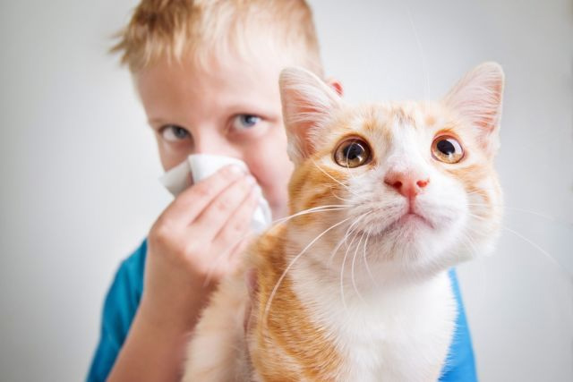 Alergia a animais domésticos